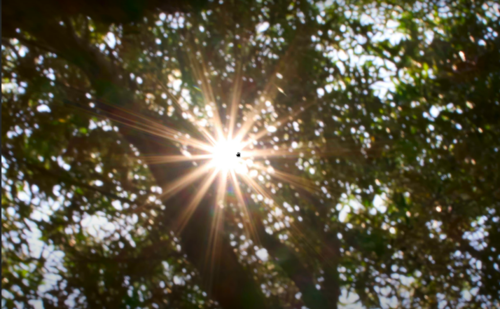 Exemple de soleil en étoile avec le Sigma 18-50mm f2.8