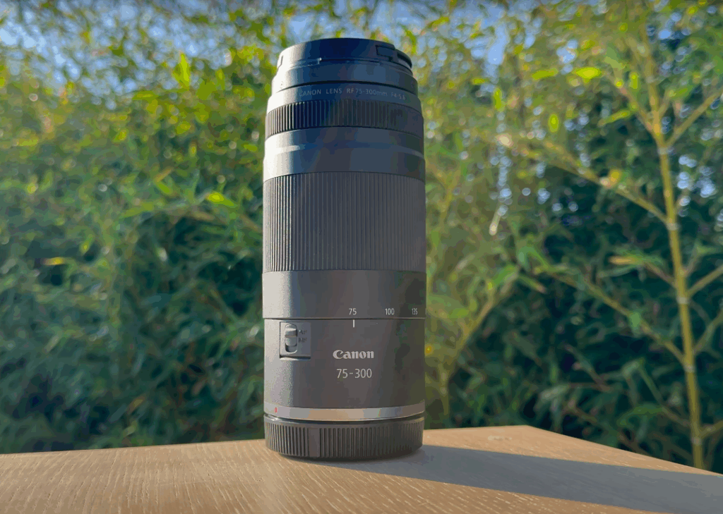 Ergonomie du Canon RF 75-300mm